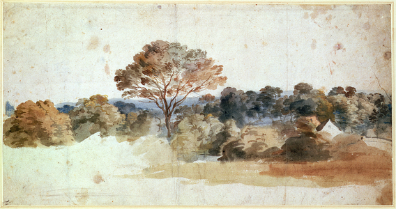 A Landscape (pen and brown ink)