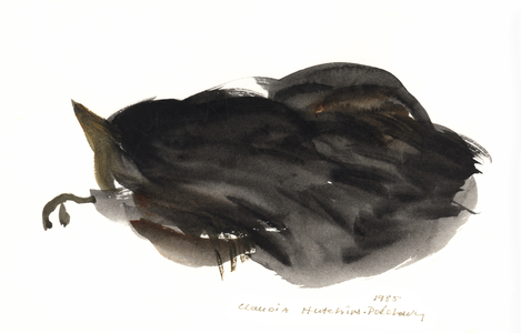 Sleeping Cat, 1985 (watercolour)
