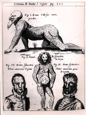 'Hairy man and Wild man', illustration from 'Physica Curiosa' by Gaspar Schott (1608-66) (engraving) (photo)