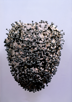 Veal heart pricked with pins, found c.1900 in a tomb in Montmartre cemetery, Paris