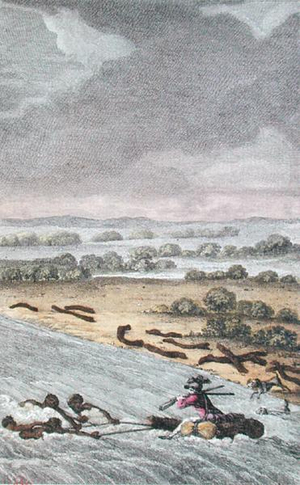 The Elephant's River, South Africa, engraved by Coiny, 1790 (colour engraving)