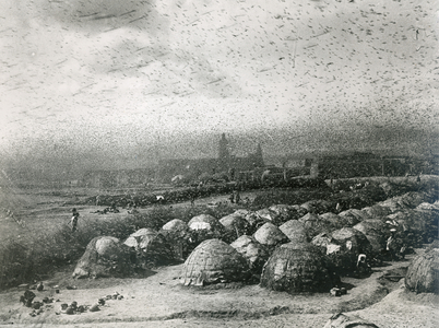A plague of locusts over Timbuktu, 18th August, 1895;