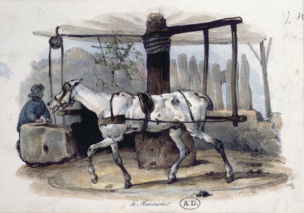 The Market Gardener, 1840 (colour lithograph)