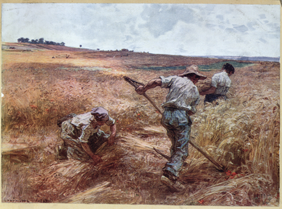 Harvesting Scene, 1897 (colour litho)