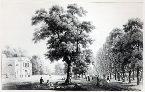 The main avenue in the Prater, Vienna, 1821 (engraving)