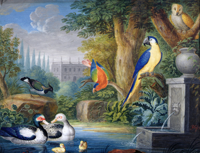 Exotic birds in an ornamental garden, c.1650 (gouache on paper)