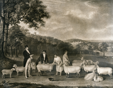 Portrait of Thomas William Coke, Esq. (1752-1842) inspecting some of his South Down sheep with Mr Walton and the Holkham shepherds, engraved by William Ward (1766-1826), 1808 (engraving)