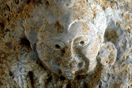 Sculpture inlaid in the wall of a 15th century house in Noyers sur serene (Yonne)