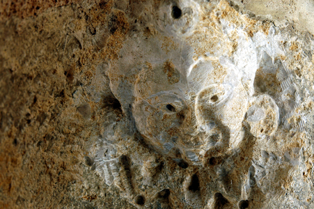 Sculpture inlaid in the wall of a 15th century house in Noyers sur serene (Yonne)