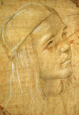 Head of a young man, c.1480 (pencil with white chalk on paper)
