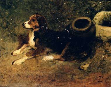 A Dog Lying Down (oil on canvas)