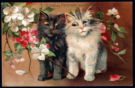 Apple blossoms. Repentance. Cat and flowers. Symbolic meaning of flowers. (chromo)