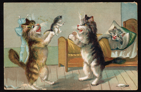 Birth of a kitten. (chromo)