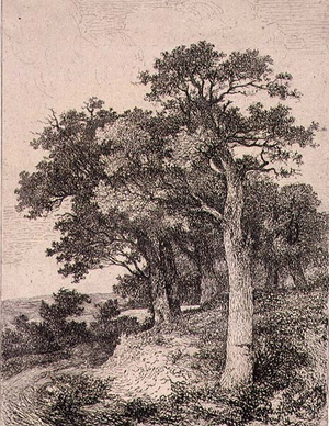 At Colney, pub. by J. & W. Freeman, 1821 (etching)