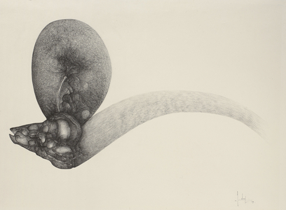 La Geste - Artwork by Fred Deux (1924-2015), ink from China on paper, 66.8 x 100 cm, 1963 - Musee Cantini