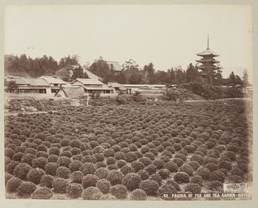 Pagoda of Toji and tea garden - Japan 1880-1910 (photo)