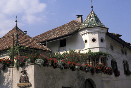 Foreshortening, Appiano, Trentino Alto Adige, Italy