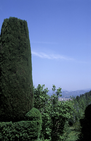 Villa Capponi, Florence, Tuscany, Italy.