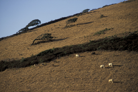 Sardinian landscape, Aggius, Sardinia, Italy