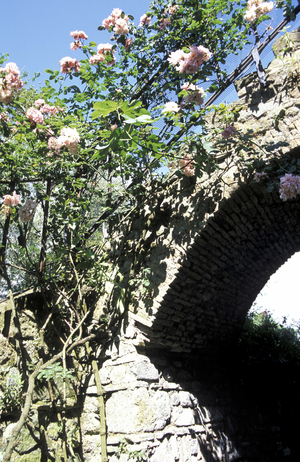 Garden of San Liberato, Bracciano, Roma, Lazio, Italy.