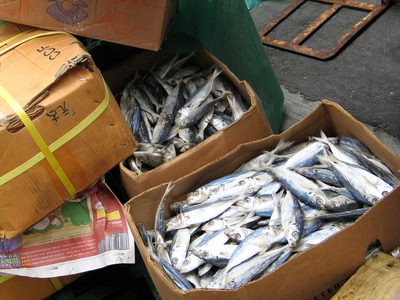 Dried fish, Hong Kong, China, Asia