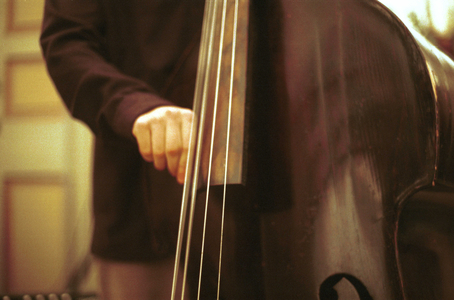 Double bass player, Italy