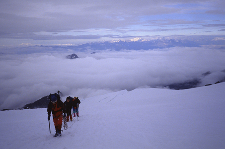 Mountaineers, Glacier Lily, Gressoney valley, Valle d'Aosta, Italy.
