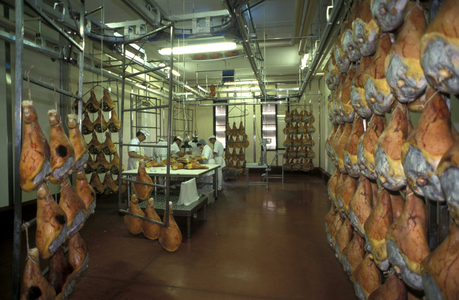 Preparation of ham, Prosciuttificio Unibon, Langhirano, Emilia Romagna, Italy