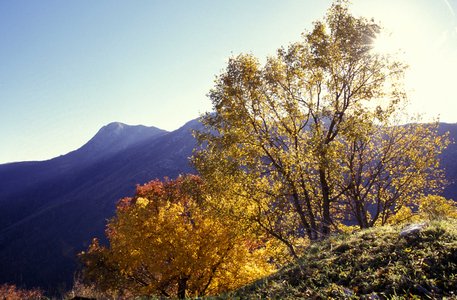 Cocuzzo mountain, Parco Nazionale del Cilento e Vallo di Diano, Salerno, Campania, Italy.