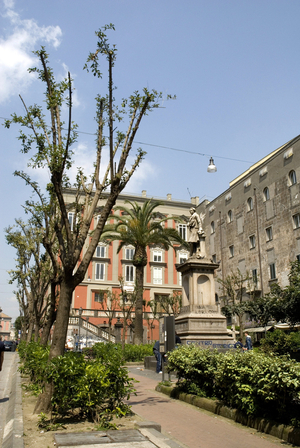 Bellini square, San Giuseppe quarter, Naples, Campania, Italy