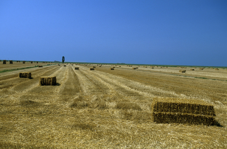 Bales of straw, Gorino, Veneto, Italy