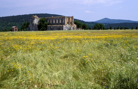 Abbey of San Galgano, Chiusdino, Tuscany, Italy.
