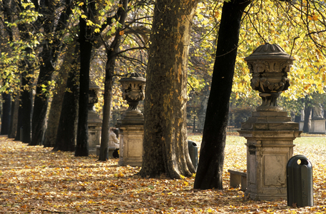 Garden of Palazzo Reale, Turin, Piedmont, Italy.
