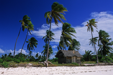 Beach, Zanzibar, Tanzania, East Africa, Africa