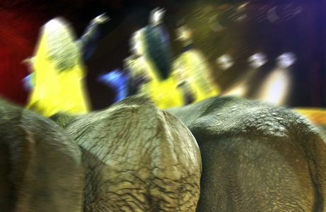 Medrano circus, Milan, Lombardy, Italy