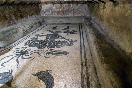 Female thermae, Excavations, Ercolano, Campania, Italy