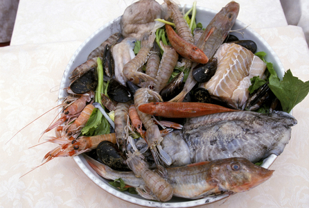 Cacciucco, fishes before cooking, Livorno, Tuscany, Italy