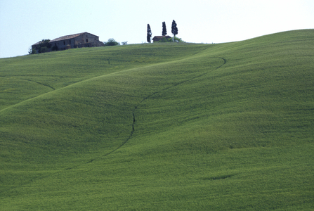 Farm and field, Siennese country, Tuscany, Italy.