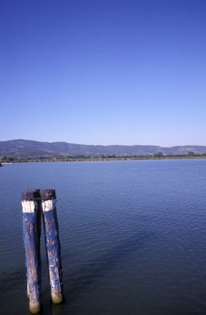 Trasimeno lake, Perugia, Umbria, Italy.