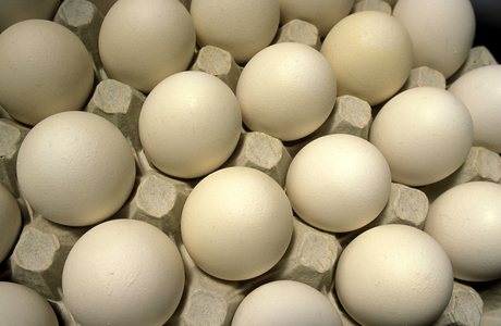 Eggs, Campofilone, Marche, Italy