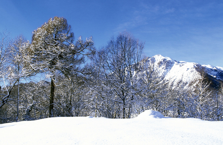 Grigna Meridionale, Lombard Prealpi, Italy