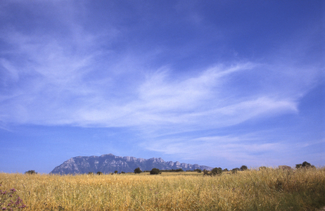 Alburni mountains, Parco Nazionale del Cilento e Vallo di Diano, Salerno, Campania, Italy.