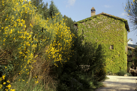 La Malvarina farm-holiday, Capodacqua, Umbria, Italy