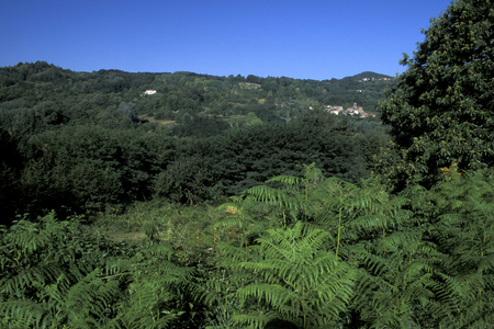 Landscape, Garfagnana, Tuscany, Italy