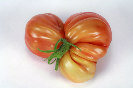 Tomato “” Cuor di Bye a coste””