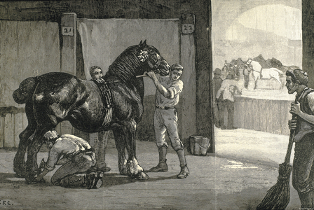 Finishing touches to horses. Pedigree horses fair, 1891. Engraving.