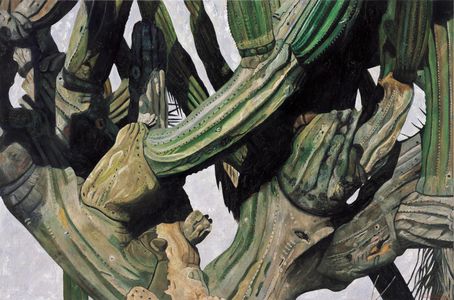 Cardon Cactus in Baja California, 2004 (oil on linen)