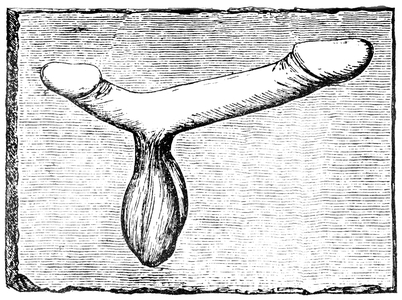 Double phallus from the lintel of a vomitorium (exit passage) at the Nimes (Colonia Nemausus) amphitheatre (engraving)