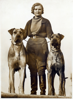 Sussex Canine Association Dog Show, Bognor Regis, Sussex, January 1934 (photo)