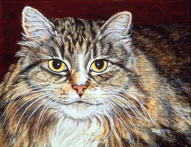 Stroggy Skinner, 1992